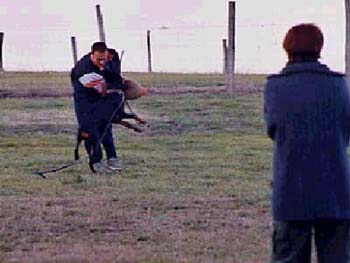 53
